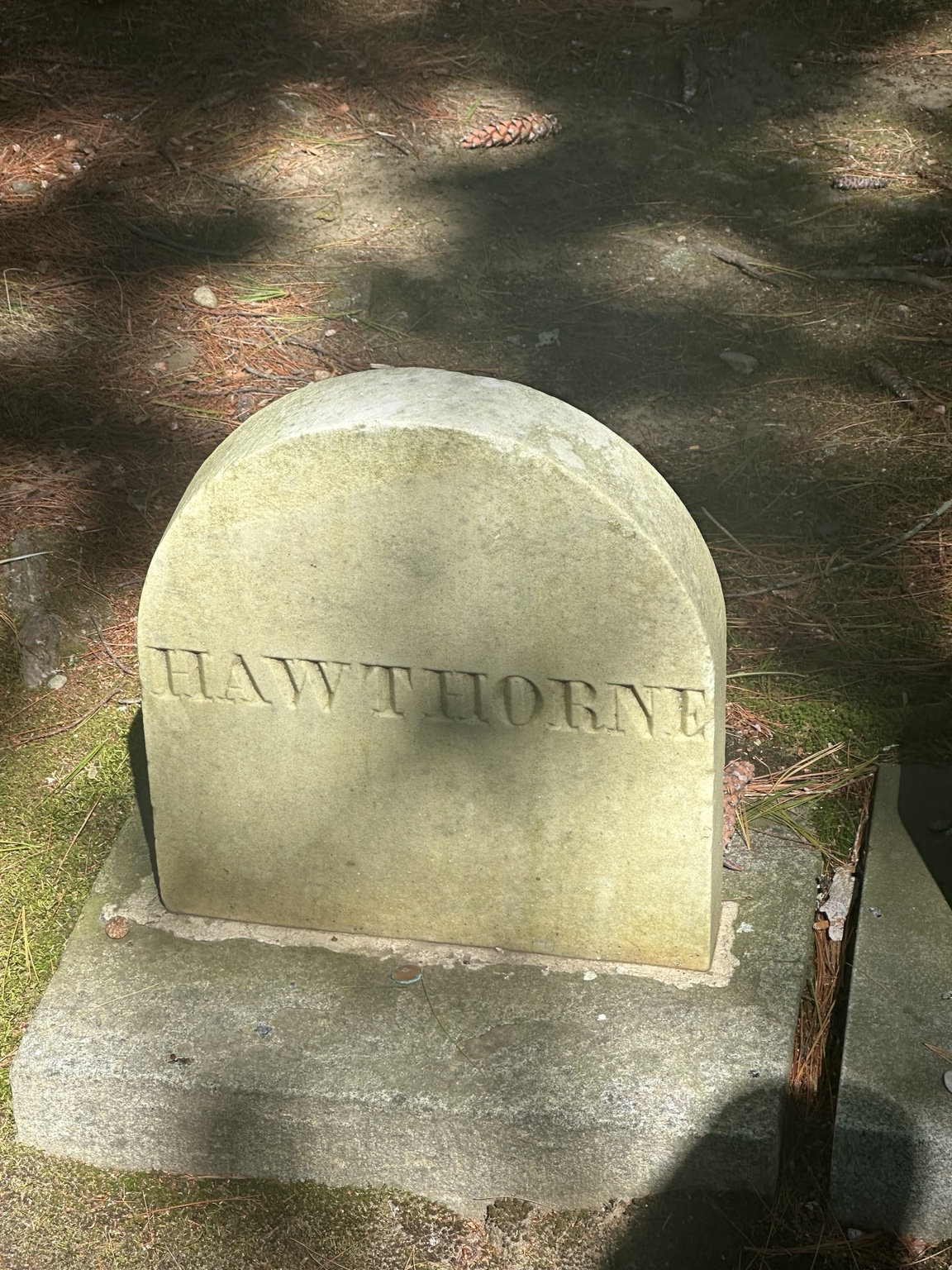 A simple rounded gravestone engraved Hawthorne, with tree shadows falling over its pale surface.