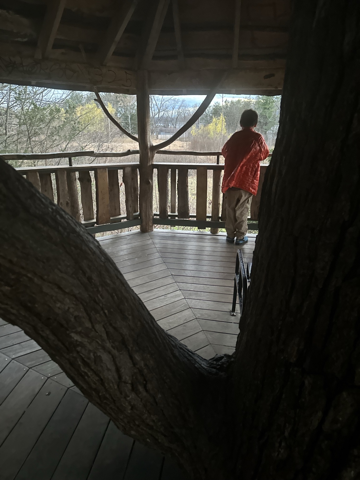James looking out from the wooden railing of the Oakledge Park treehouse.