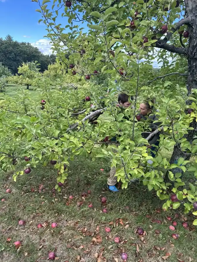 Family members picking apples among leafy trees at Doe Orchards.