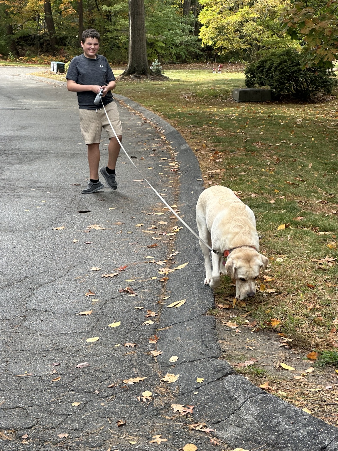 James smiling while holding Ruby’s leash on a leaf-strewn New England road, as the yellow Labrador sniffs the grass.