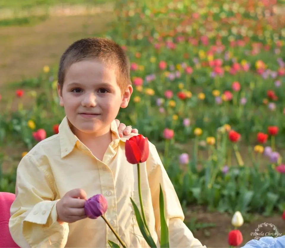 A young family member holding tulips in a brightly colored flower field.