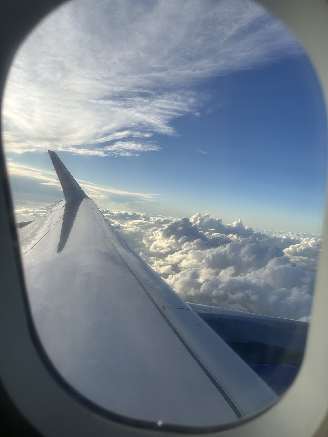 An airplane wing above the clouds, seen through the cabin window.