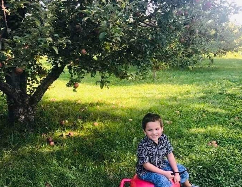 A child sitting beneath an apple tree during an orchard afternoon.
