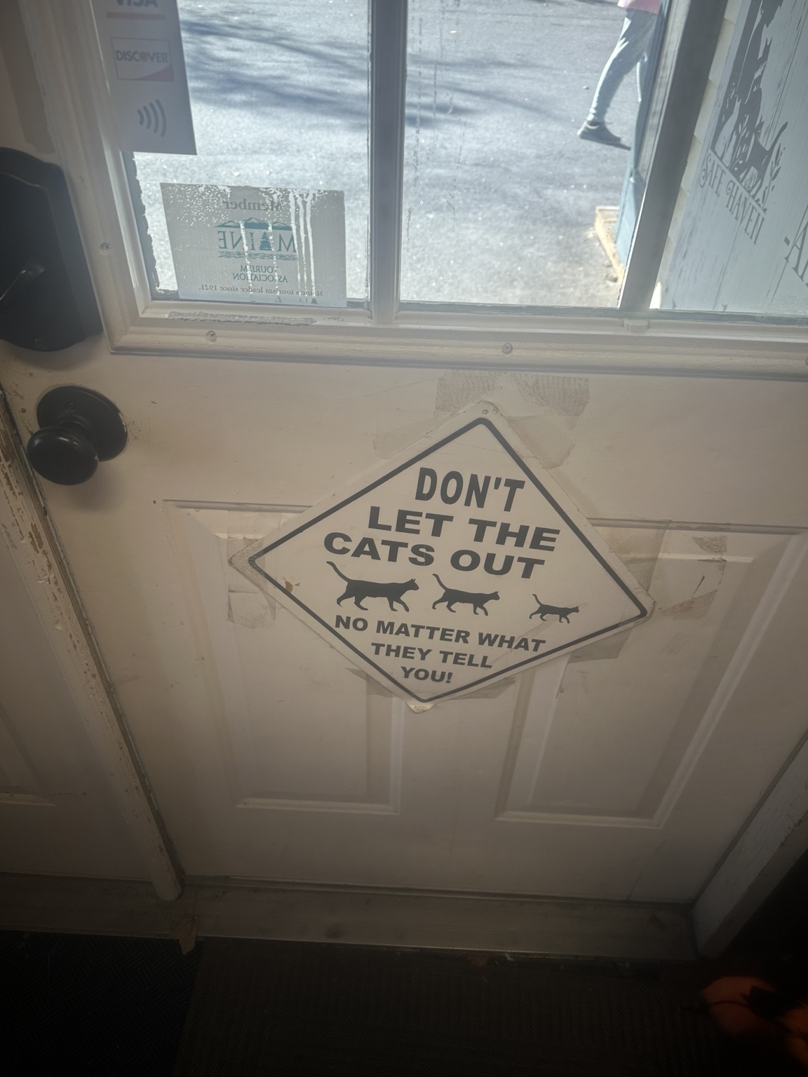 The shop’s door sign reads, ‘Don’t let the cats out, no matter what they tell you!’